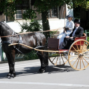 printscreen06-21-22 at 03.50 PM