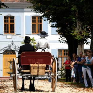 printscreen06-21-22 at 04.02 PM 001