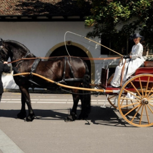 printscreen06-21-22 at 04.02 PM